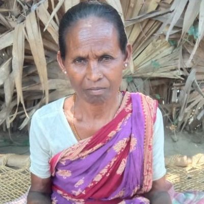 Dhina Mardi